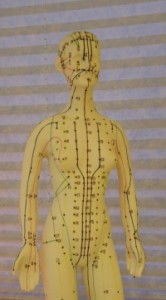 Akupunktur Modell